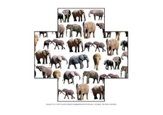 Formen-Elefant-1-7.pdf